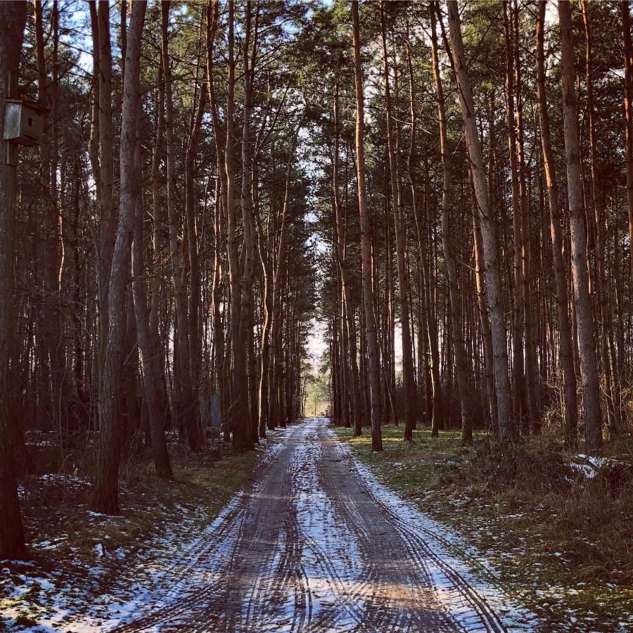Фермерские дома Dworek Pod Wiechą Kawęczyn-30